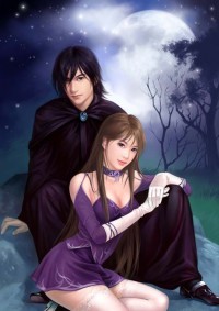 全職贅婿