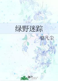 绿野迷踪